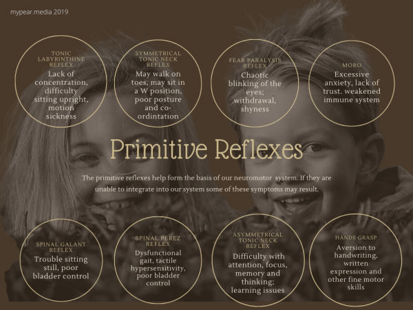 What Are Primitive Reflexes Mypear Media What Are Primitive Reflexes Mypear Media