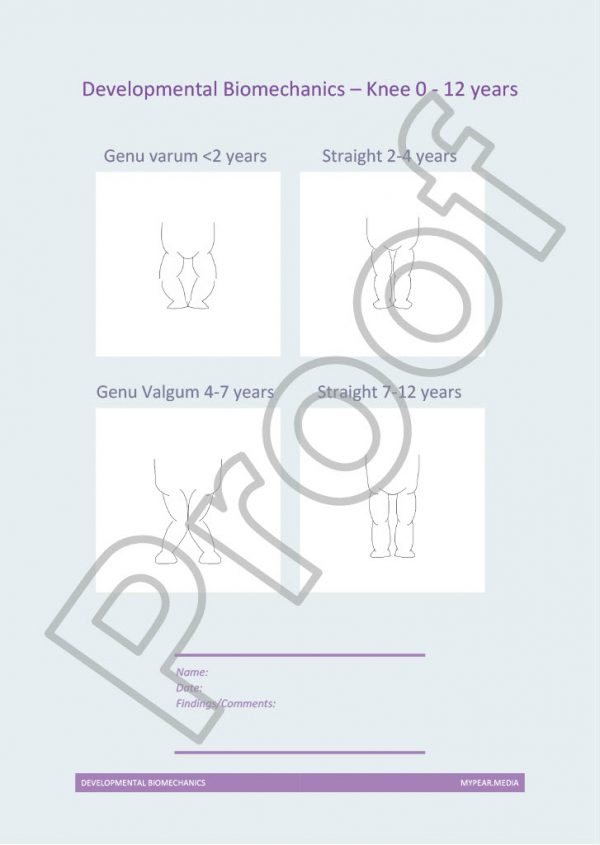 Knee development