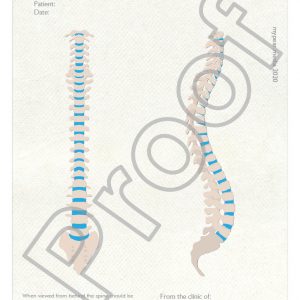 Posture and alignment