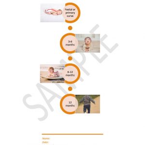 Spinal Curve Development