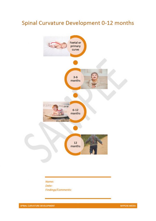 Spinal Curve Development